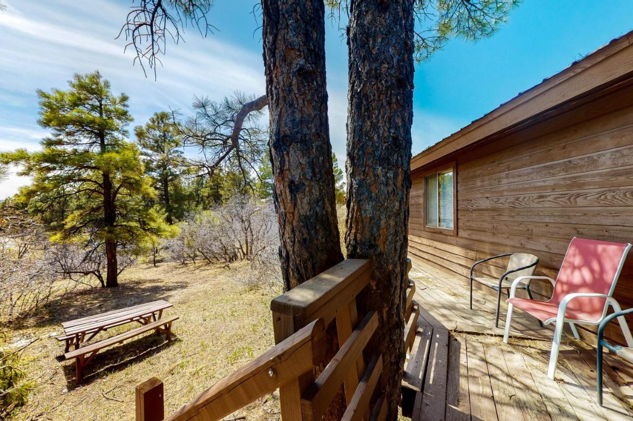 Self-Reflection Villa Pagosa Springs Exterior foto